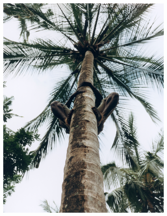 Main image Zanzibar, Tansania 01