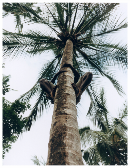 Main image Zanzibar, Tansania 01