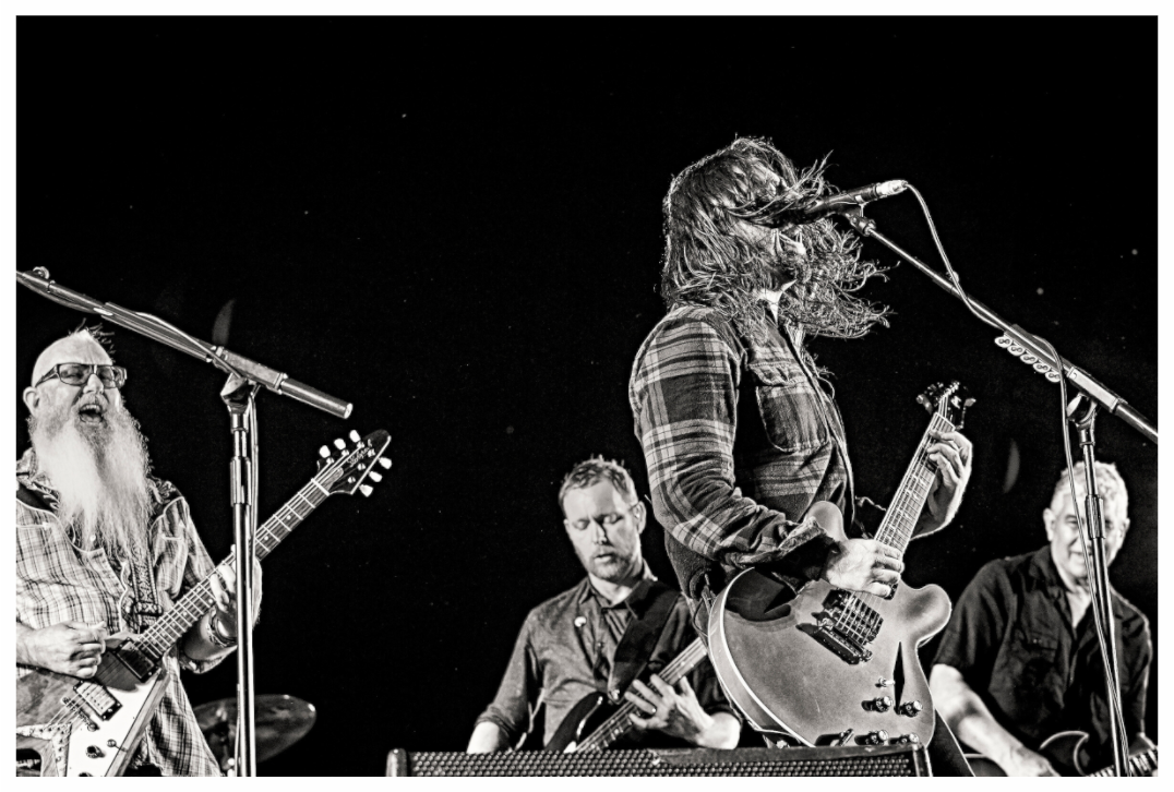 Main image Dave Grohl - Foo Fighters Live 03