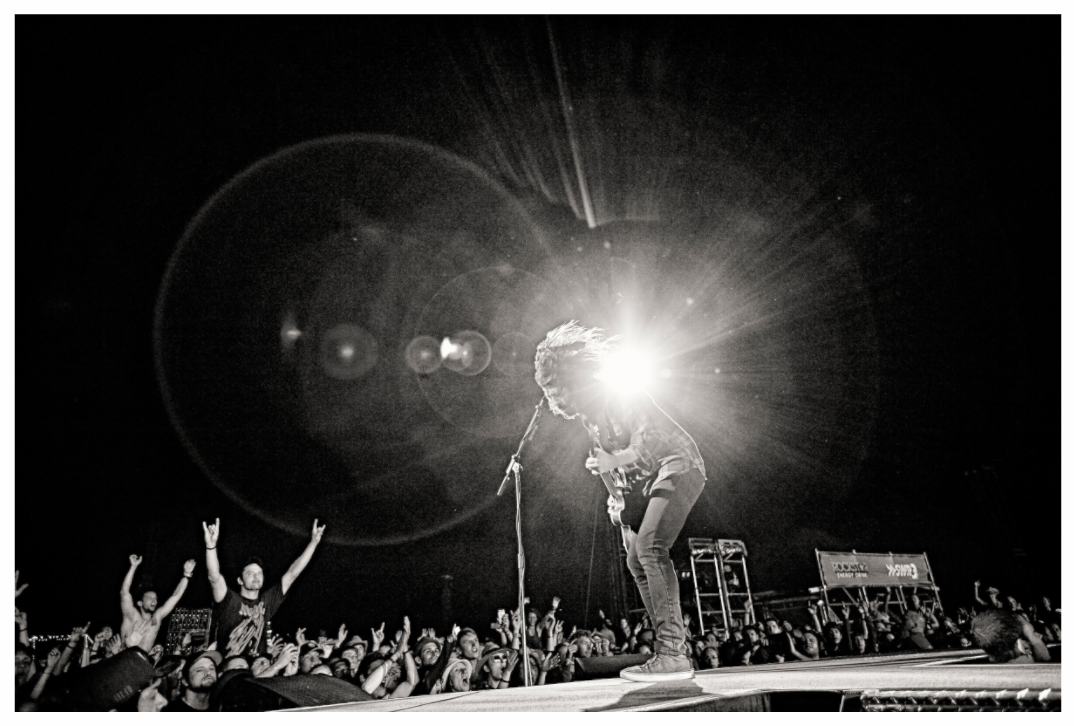 Main image Dave Grohl - Foo Fighters Live 02