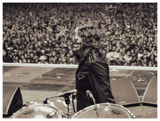 Main image Dave Grohl - Foo Fighters Live 12
